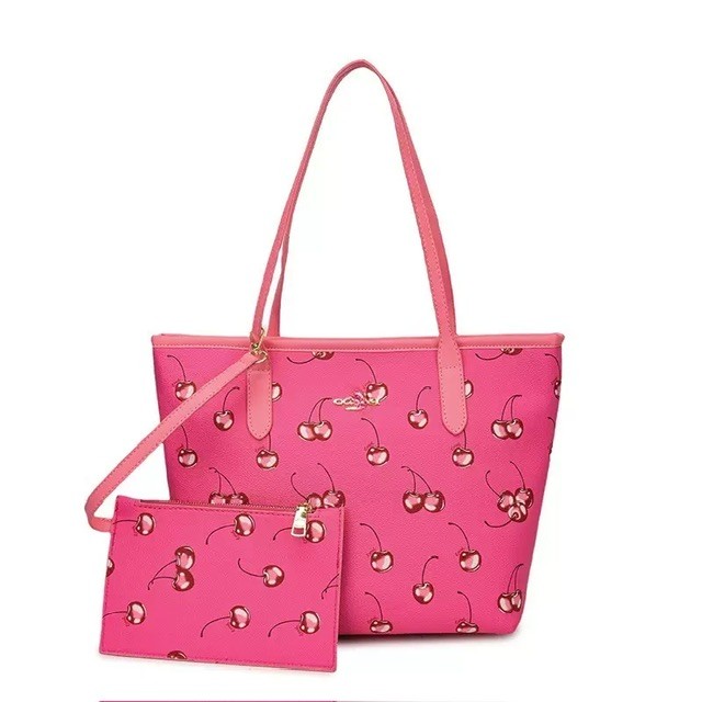 Coach bag with purse