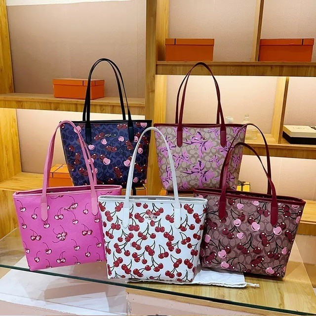 Coach bag with purse